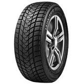 Delinte Winter WD1 165/70 R14 81T