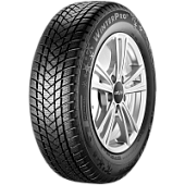 GT Radial WinterPro 2 205/60 R16 92H